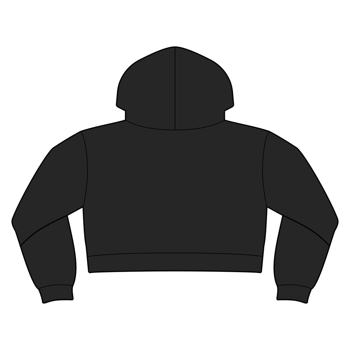 Pretty Legendary Cropped Hoodie
